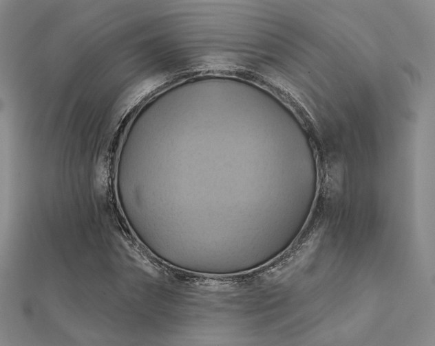 X0000112030874200908101336