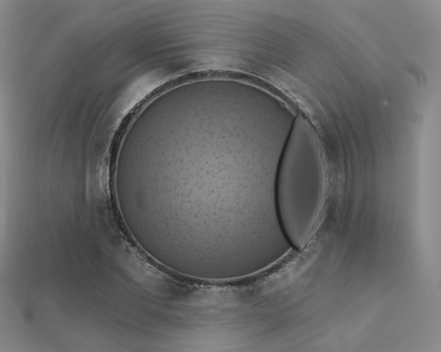 X0000112030877200908101336