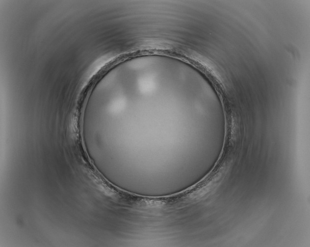 X0000112030878200908101336
