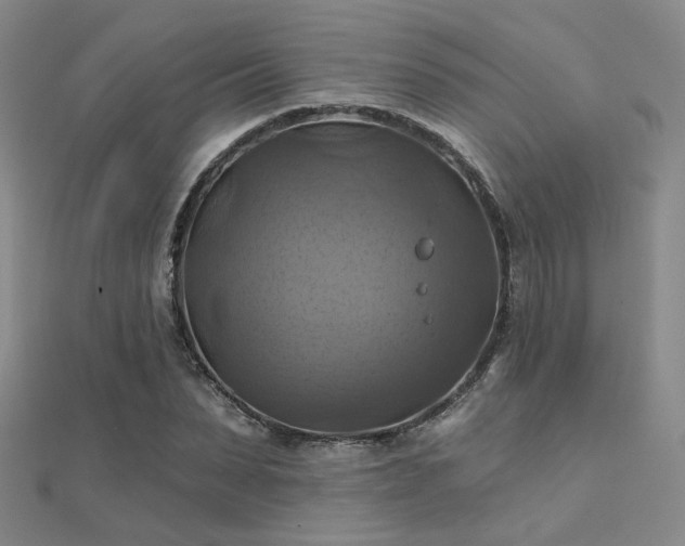 X0000112030879200908101336