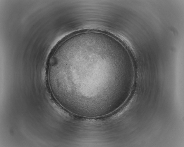 X0000112030880200908101336