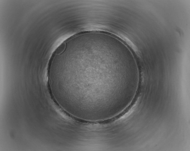X0000112030885200908101336