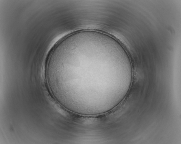 X0000112030886200908101336