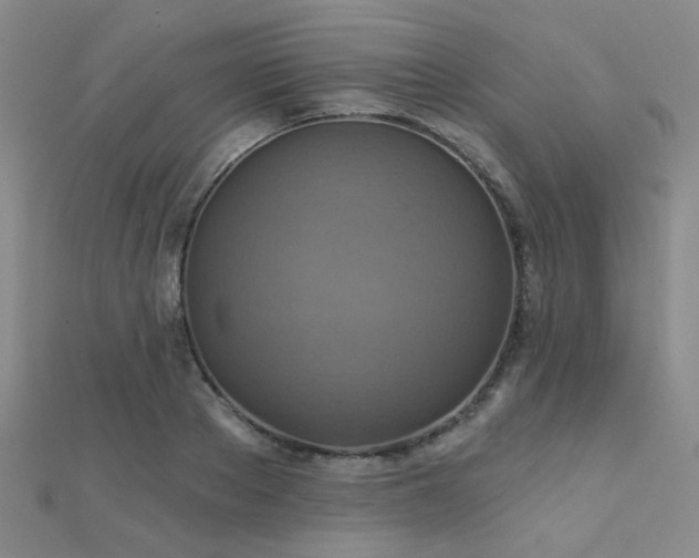 X0000112030889200908101336