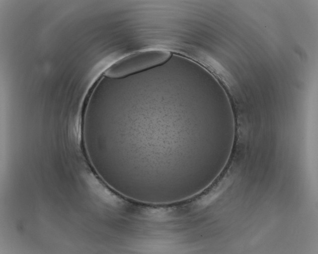 X0000112030892200908101336
