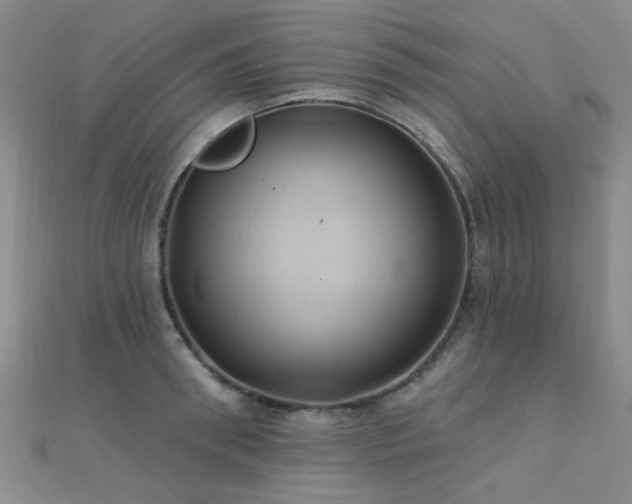 X0000112030898200908101336
