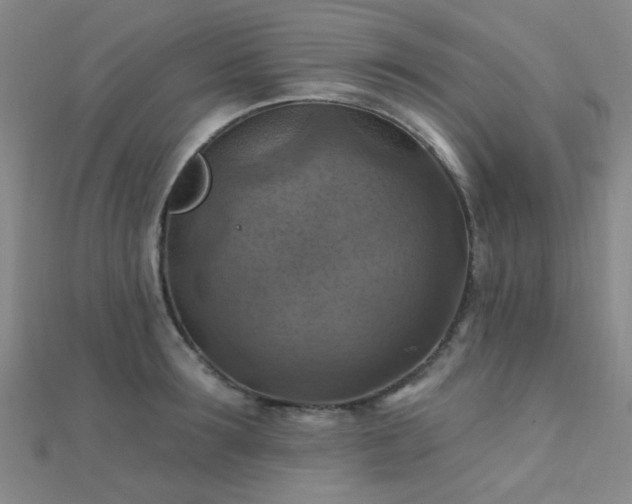 X0000112030899200908101336