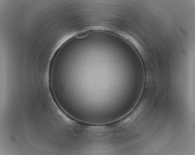 X0000112030902200908101336