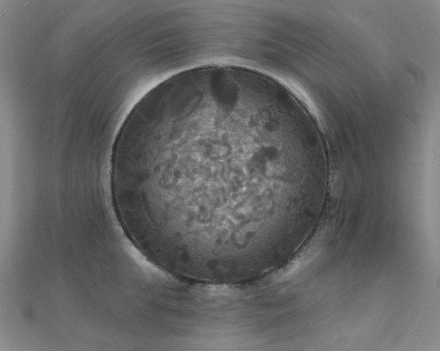 X0000112030903200908101336