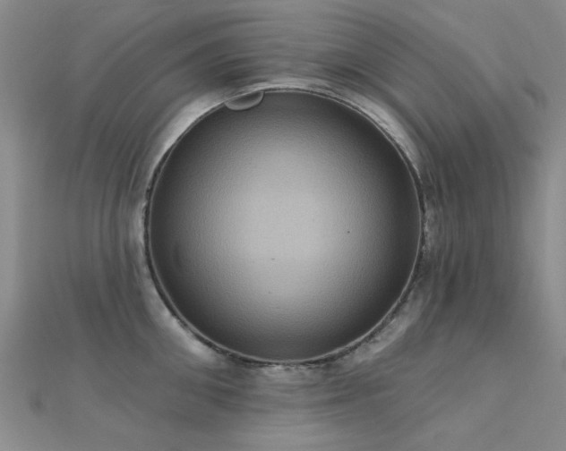 X0000112030906200908101336