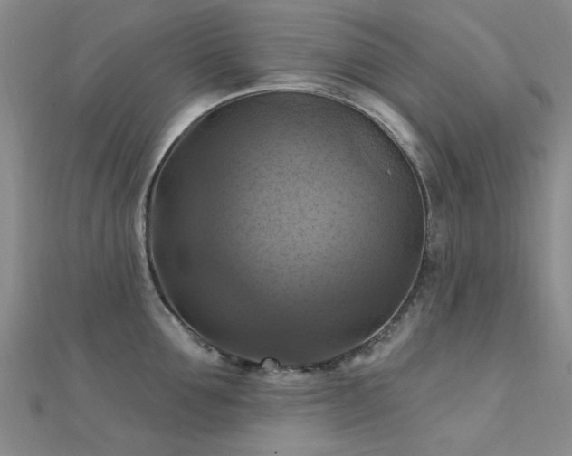 X0000112030907200908101336
