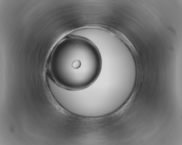 X0000112030908200908101336