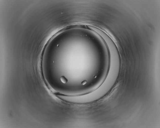 X0000112030909200908101336