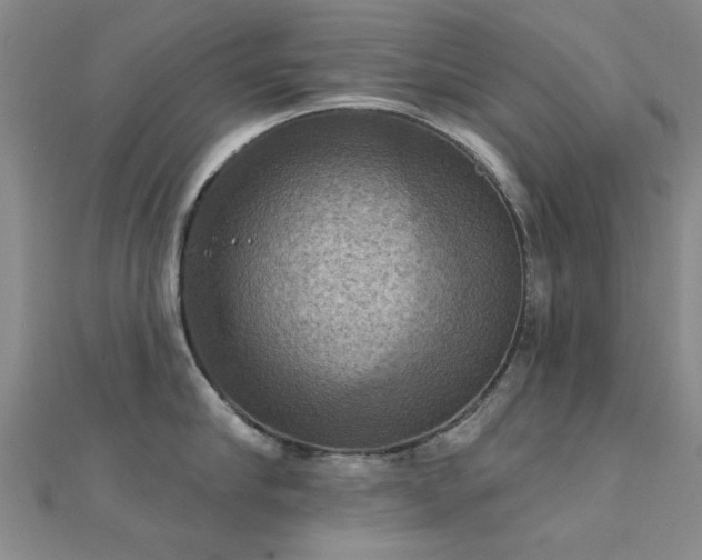 X0000112030910200908101336