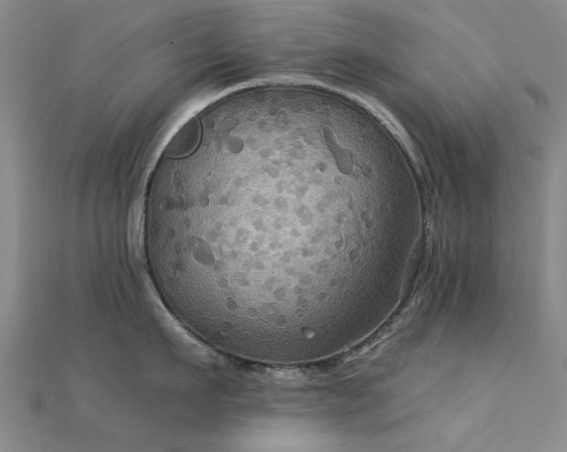 X0000112030911200908101336