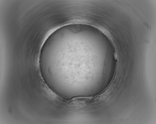 X0000112030912200908101336
