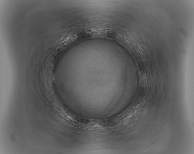 X0000112030913200908101335
