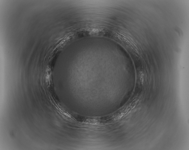 X0000112030914200908101335