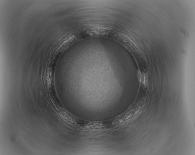 X0000112030915200908101335