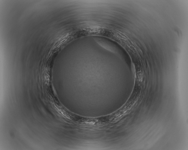 X0000112030916200908101335