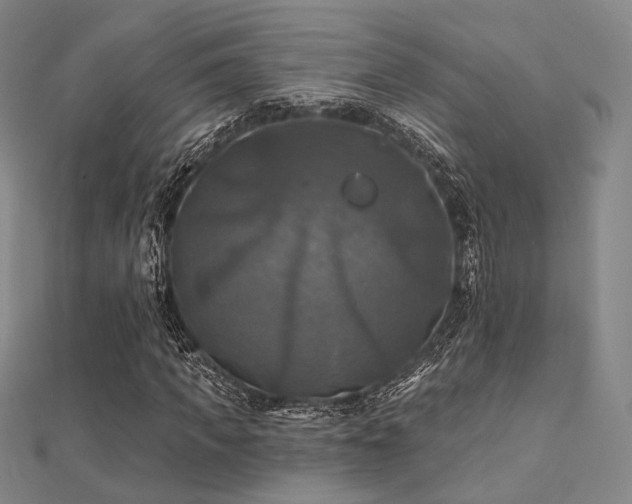 X0000112030917200908101335