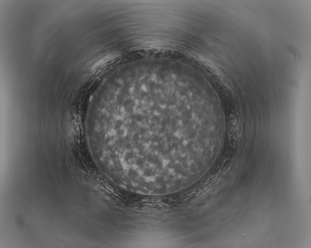 X0000112030918200908101335