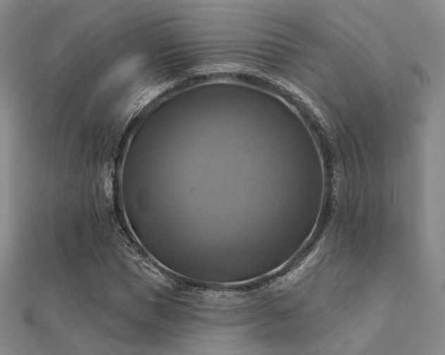 X0000112030921200908101335