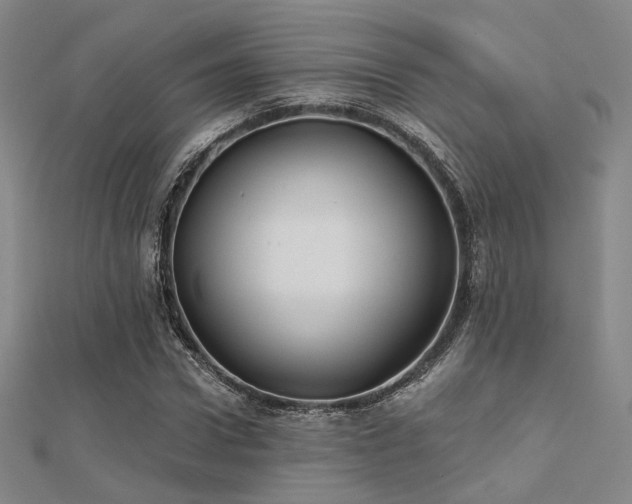 X0000112030922200908101335