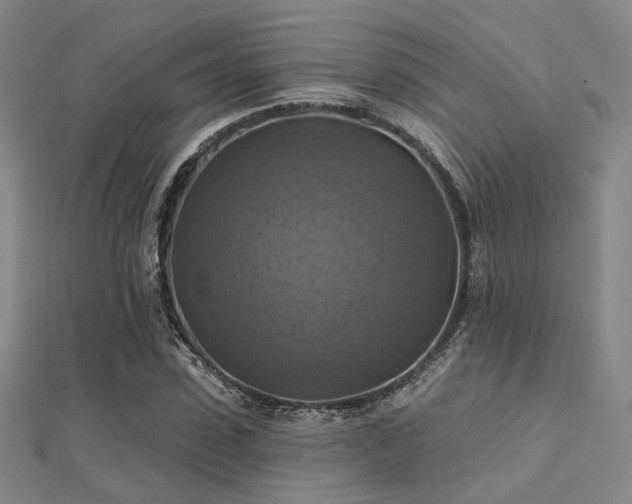 X0000112030923200908101335