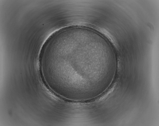 X0000112030924200908101335