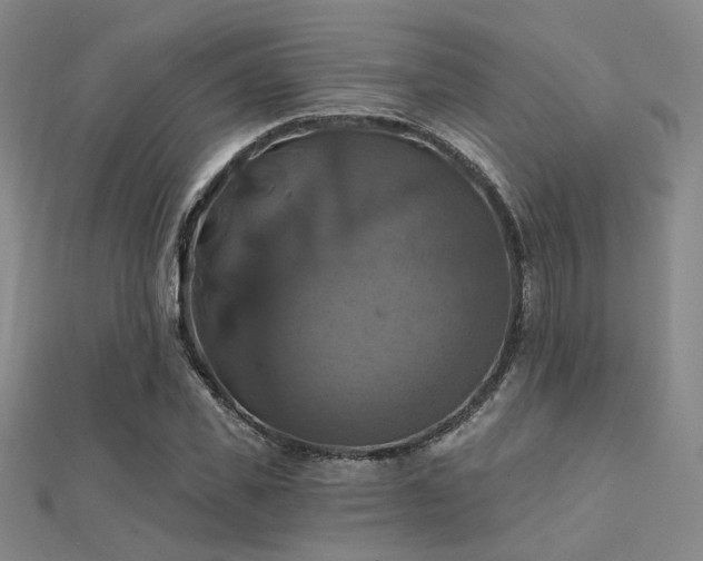 X0000112030925200908101335