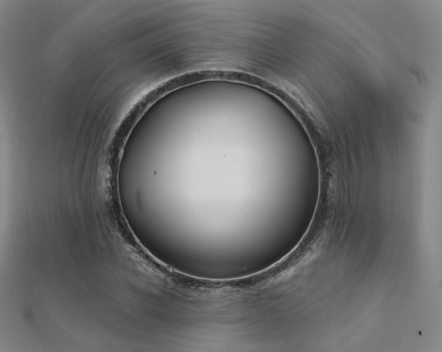 X0000112030926200908101335