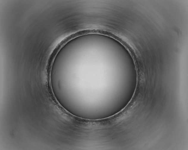 X0000112030927200908101335