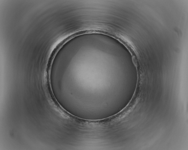 X0000112030928200908101335