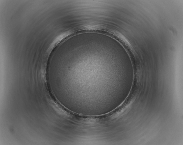 X0000112030930200908101335