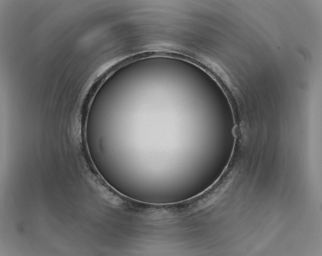 X0000112030931200908101335