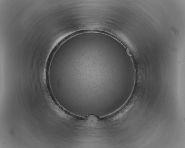 X0000112030932200908101335
