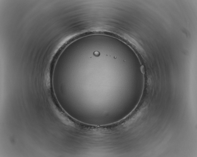 X0000112030934200908101335