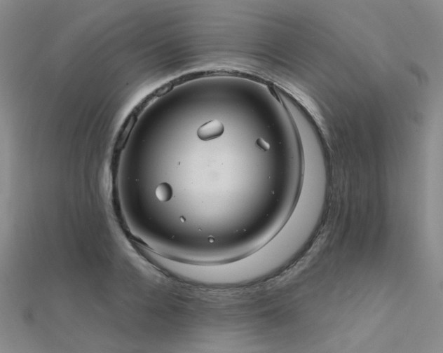 X0000112030936200908101335