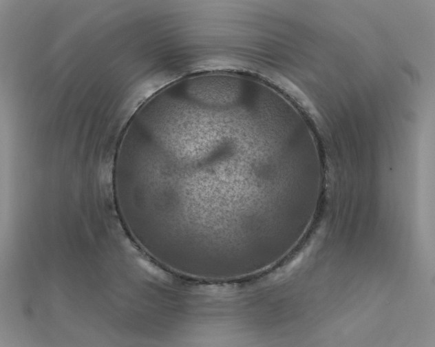 X0000112030937200908101335