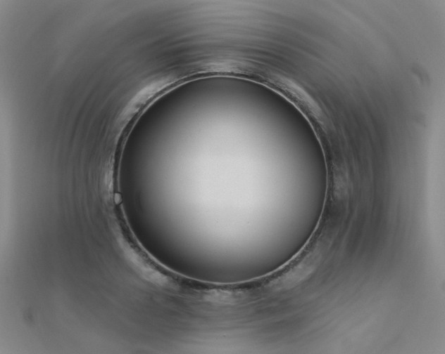 X0000112030938200908101335