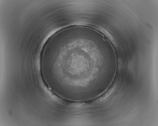 X0000112030939200908101335