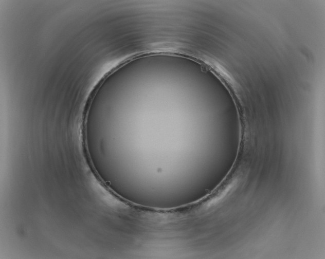 X0000112030941200908101335