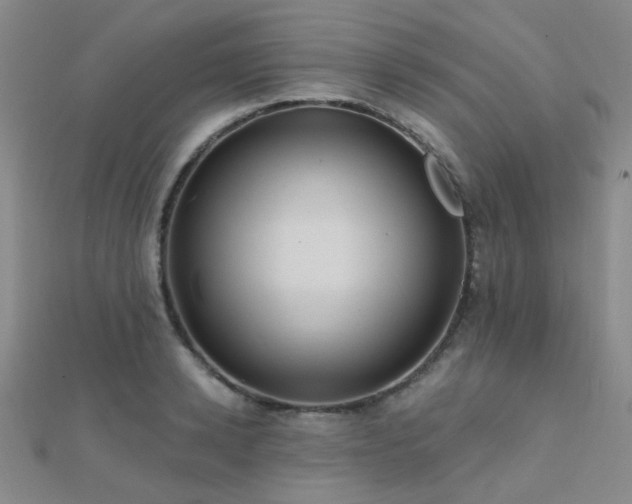 X0000112030942200908101335