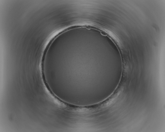 X0000112030943200908101335