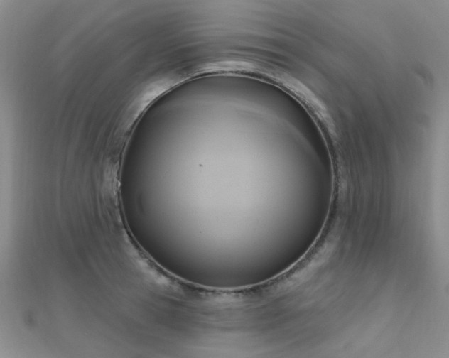 X0000112030945200908101335