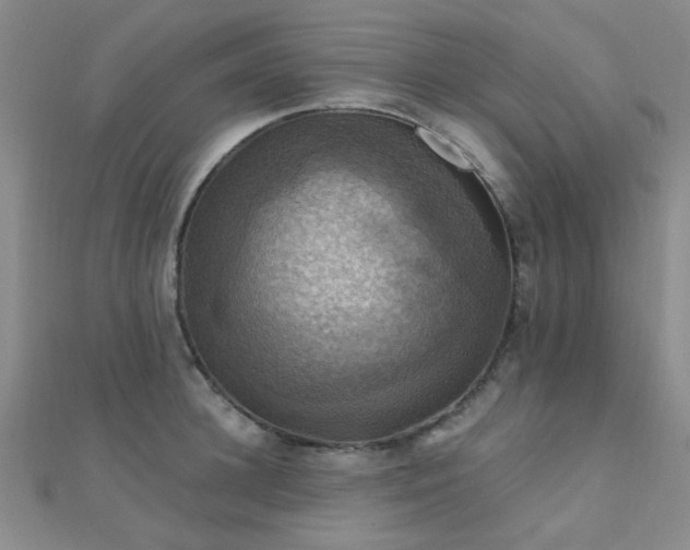 X0000112030948200908101335