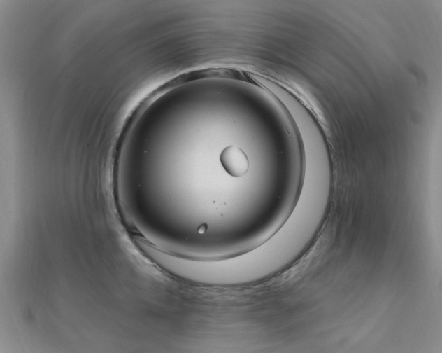 X0000112030952200908101335