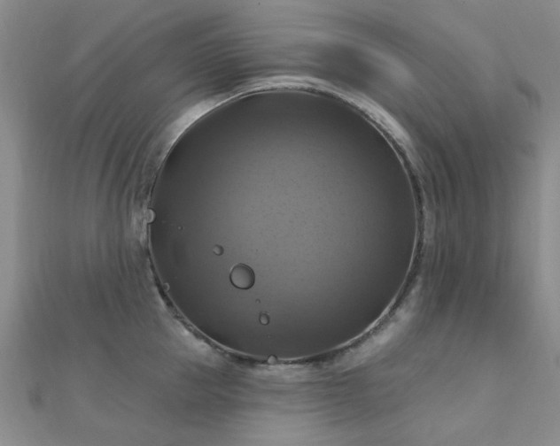 X0000112030953200908101335