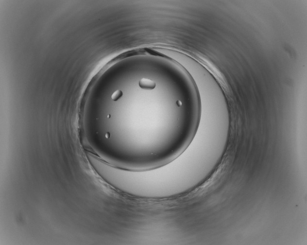 X0000112030956200908101336
